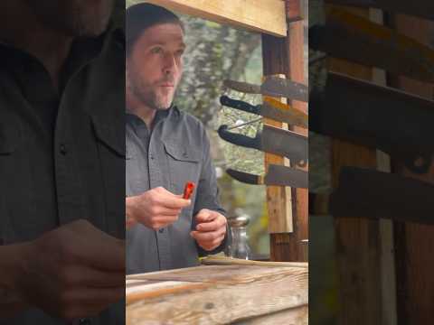 🐟 salmon candy 🐟