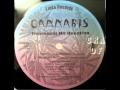 Cannabis Represent No Question Freestyle