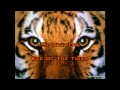 Survivor - Eye Of The Tiger [HD] 