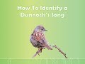 Bird Song ID : Dunnock