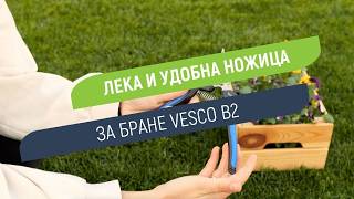 Ножица Vesco B2 - дълги и тънки остриета за бране на плодове и цветя