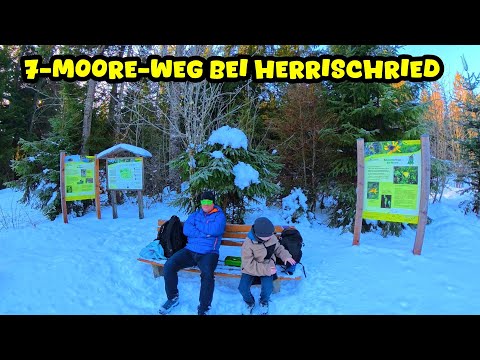 ⛄❄Schneewanderung auf dem 7-Moore-Weg bei Herrischried im Hotzenwald (Südschwarzwald)