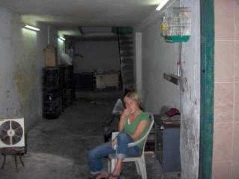 Journey to Jerusalem (1/3)