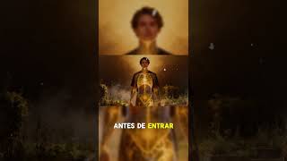 A árvore da vida e do conhecimento.  #despertardaconsciencia #shorts  #curiosidades