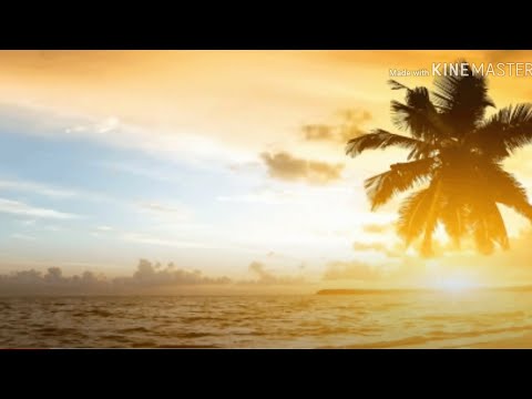 O_FouR x Dirty Fingerz x Laku MiC -  Solwera Meri (Official Lyric Video)