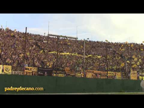 "Así vivió la hinchada de Peñarol el 5 a 0" Barra: Barra Amsterdam &bull; Club: Peñarol