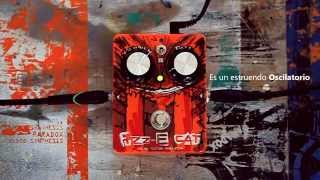 Video thumbnail for PARADOX Fuzz-E Cat by Paradox Effects