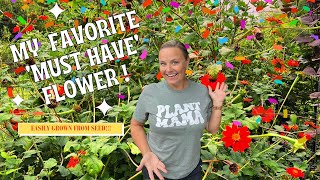 Why Mexican Sunflower (Tithonia) is My #1 MUST-GROW Seed! 🌻Discover Its Magic! | The Southern Daisy