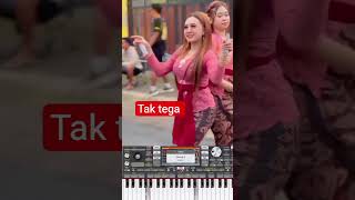 Download lagu tak tega goyang viral tiktok mp3