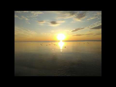 Emilian Onciu - Buna dimineata!