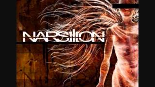 Narsilion (Richmond, VA)  - A Shadow Of My Former Self