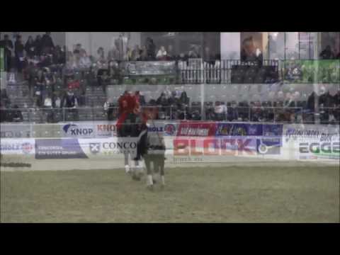 Don Index HV Verden 2017