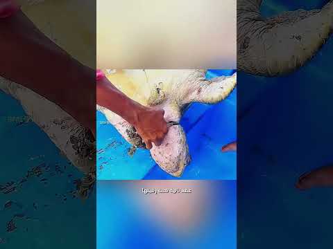 حبل على رقبتها،ولحظه انقاذ قلبت مصيرها في ثواني😥#حيل #اكسبلور #فكرتين #قصص 