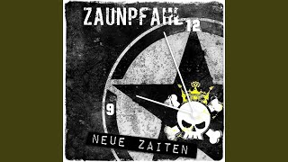 Music video thumbnail preview for In all den Jahren by Zaunpfahl