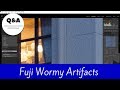Q A Fuji Wormy Artifacts