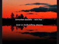 Somewhere Beautiful - Nora Foss - Cover av ...