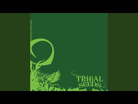 Beautiful Mysterious