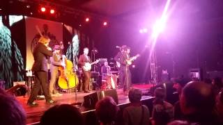 Steep Canyon Rangers - Knob Creek live 2/7/15