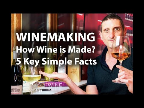 How is Wine Made? 5 Key Winemaking Facts