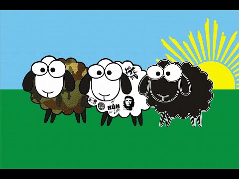 Trkačke teme sa OVCAMA br 6: OVCE na terenu - 9. zimski noćni polumaraton