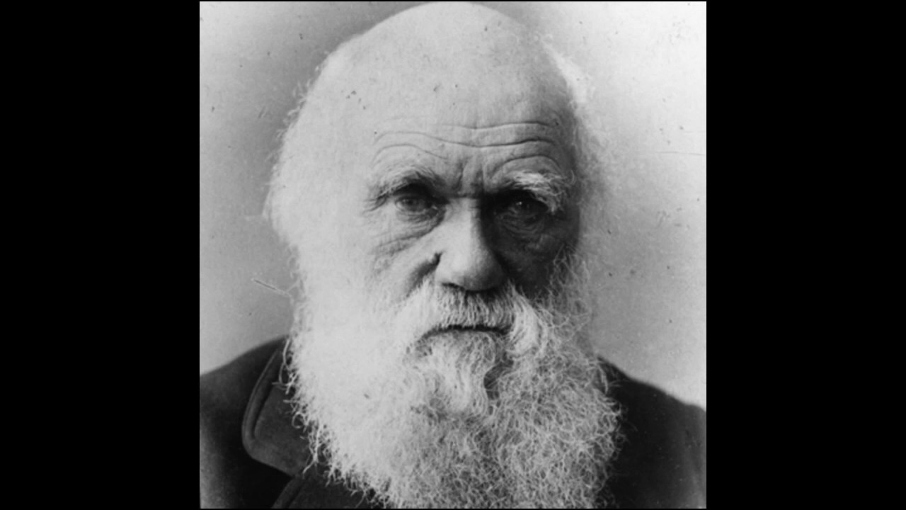 Teoria Geral de Sistemas