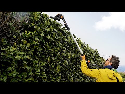 Миниатюра изображения товара Высоторез аккумуляторный Worx WG252E.9