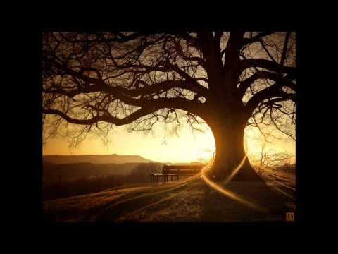 Mono & Nikitaman - Solang Die Sonne Scheint