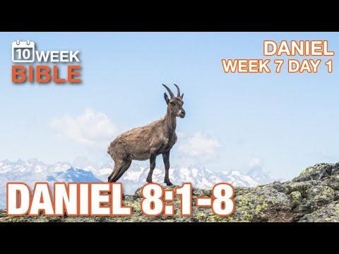 Vision of the Ram and Goat | Daniel 8:1-8 | Week 7 Day 1 | Daily Devotional