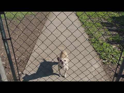 Commercial Ads 2019 - Apple - Privacy on iPhone — Private Side