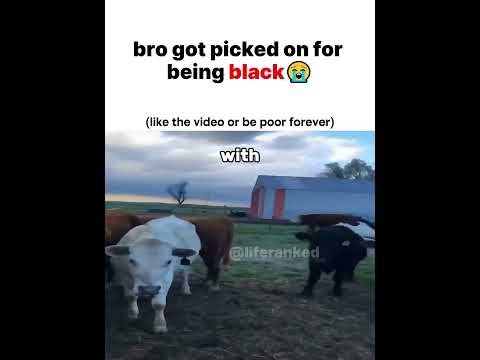 Bro got picked on for being unique😭