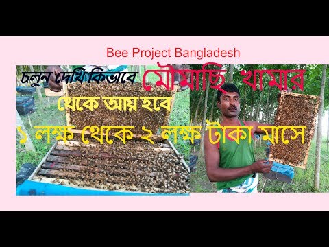 Bee project Bangladesh ! মৌমাছি খামার আয় মাসে 2 লক্ষ টাকা থেকে! Video