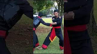 Download lagu Application of IPSI Single Move 3 Empty Hand Move mp3