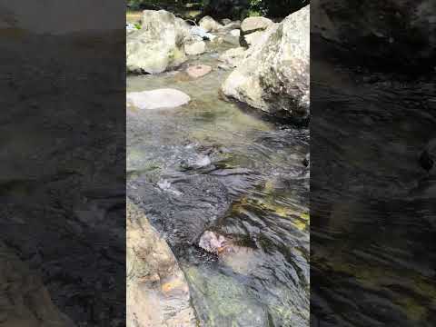 Cascada y quebrada cristalina en el cañon del Rio Santo Domingo | San Francisco, Antioquia, Colombia