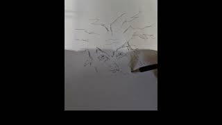 How to draw a Viking face for a woodcarving mockup.