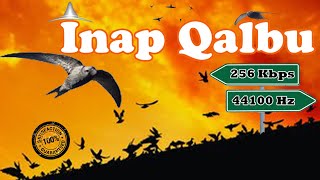 Download lagu INAP QALBU Suara Walet Andalan Juragan Walet mp3 Download lagu INAP QALBU Suara Walet Andalan Juragan Walet mp3
