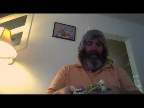 Timothy Eatting A Bacon,Lettuce & Tomato Sandwich For Breakfast