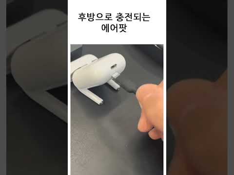 아이콘