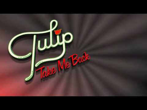 Tulip - Take Me Back (Vinyl 1981)