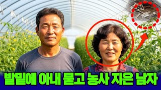 Download lagu 2008년, 하동 토마토농장 여사장 실종... 3년 만에 세상에 드러난 남편의 추악한 진실 mp3