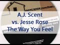 A.J. Scent vs. Jesse Rose - The Way You Feel