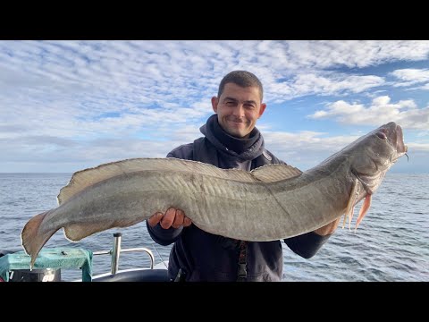 The Fish Locker Wrecking Rig - THIS RIG CATCHES FISH - Wreck Fishing for BIG LING!!!