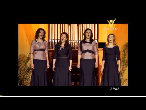 Cvartet Akord Media - O , suflete stai liniștit