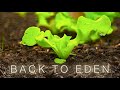 Back To Eden Gardening Documentary Film How To Grow A Regenerative Organic Garden