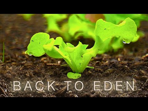 Back To Eden Gardening Documentary Film - How to Grow a Regenerative Organic Garden Video