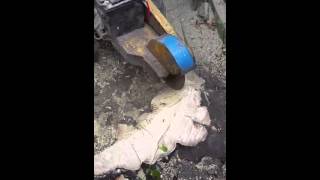 Album cover: Stump Grinding