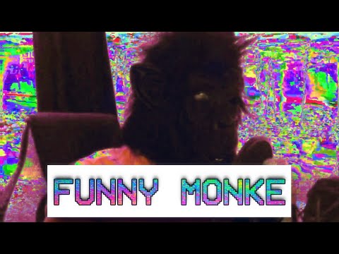 FUNNY MONKE