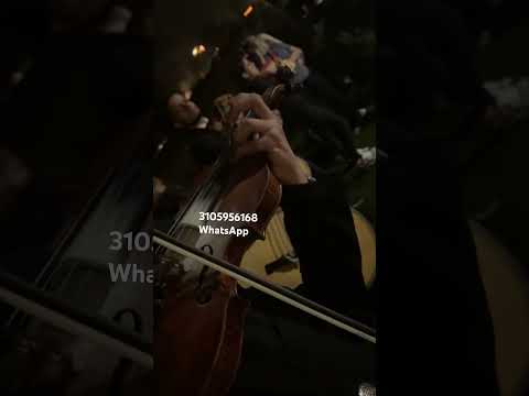 ¡PRECIO MARIACHIS EN CAÑASGORDAS! 🎺 MARIACHI RANCHERO 📲 +57 3105956168