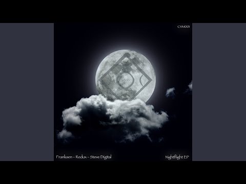 Flight (D. Diggler Remix)