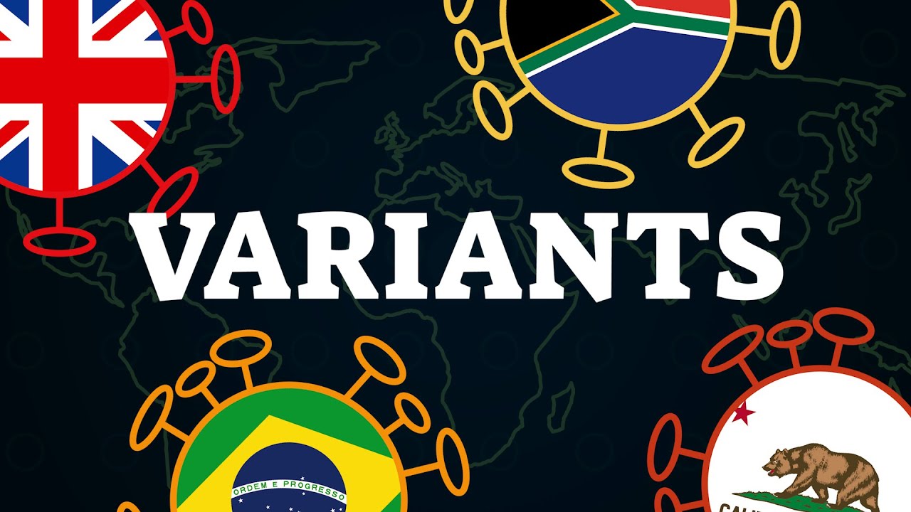 Coronavirus : tout comprendre aux variants (mutations, vaccins...)