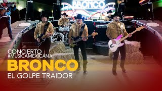 El Golpe Traidor (Bronco Con Mariachi) Lyrics English Translation